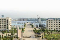 钱柜qg777,油茶种植出产加工销售,植物油种植出产加工销售