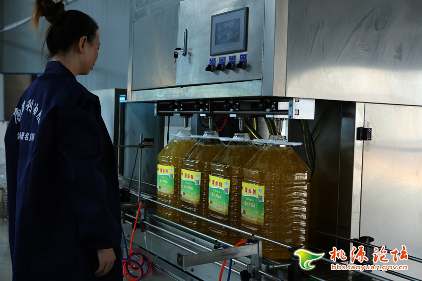 钱柜qg777,油茶种植出产加工销售,植物油种植出产加工销售