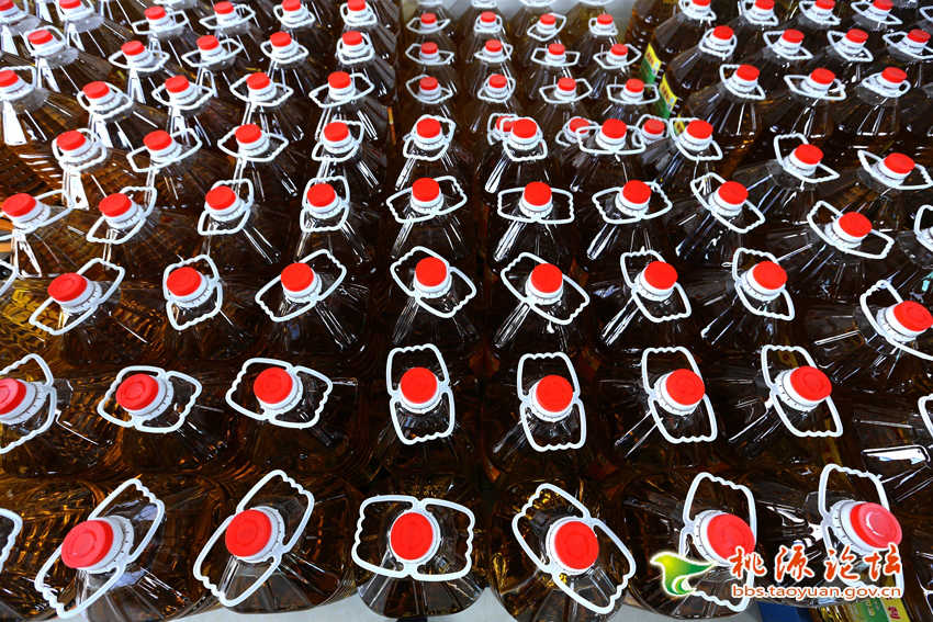 钱柜qg777,油茶种植出产加工销售,植物油种植出产加工销售