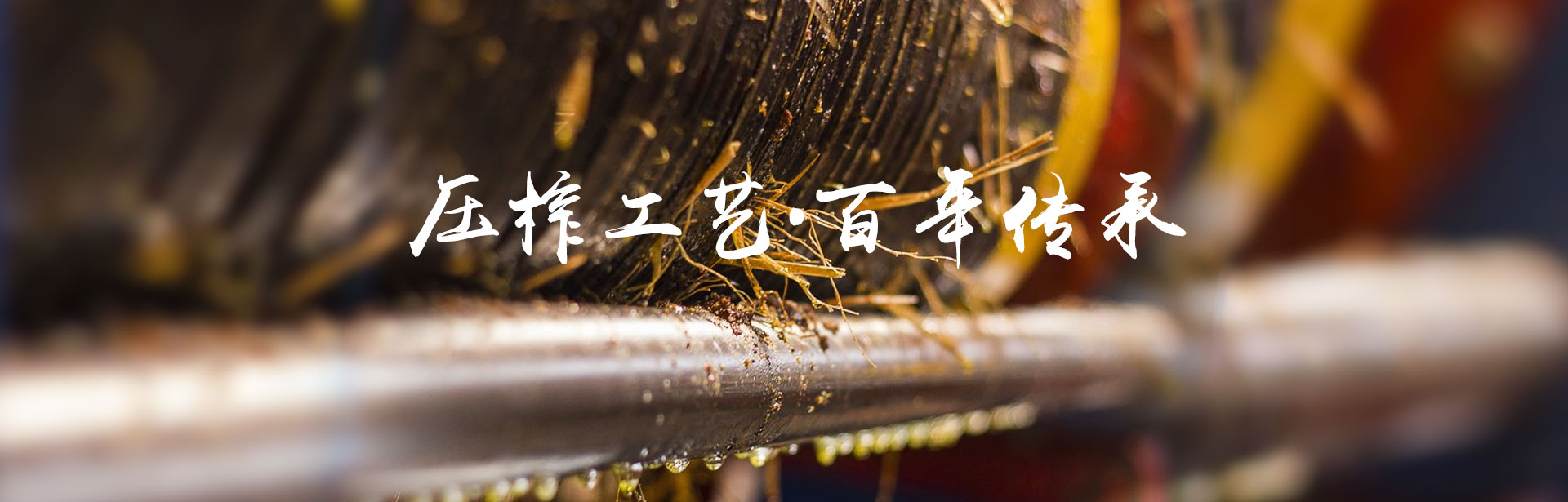 钱柜qg777_油茶种植出产加工销售|植物油种植出产加工销售