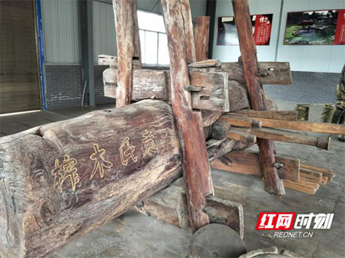 钱柜qg777,油茶种植出产加工销售,植物油种植出产加工销售