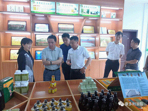 钱柜qg777,油茶种植出产加工销售,植物油种植出产加工销售